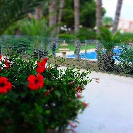 Palmeras, Piscina, Campo De Futbol Y Jardin Privados 马萨龙 外观 照片