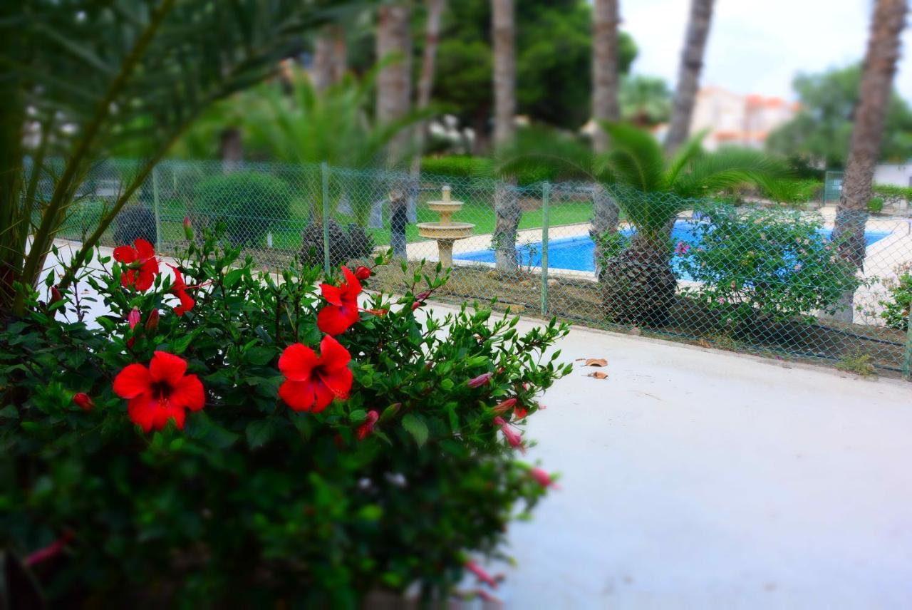 Palmeras, Piscina, Campo De Futbol Y Jardin Privados 马萨龙 外观 照片