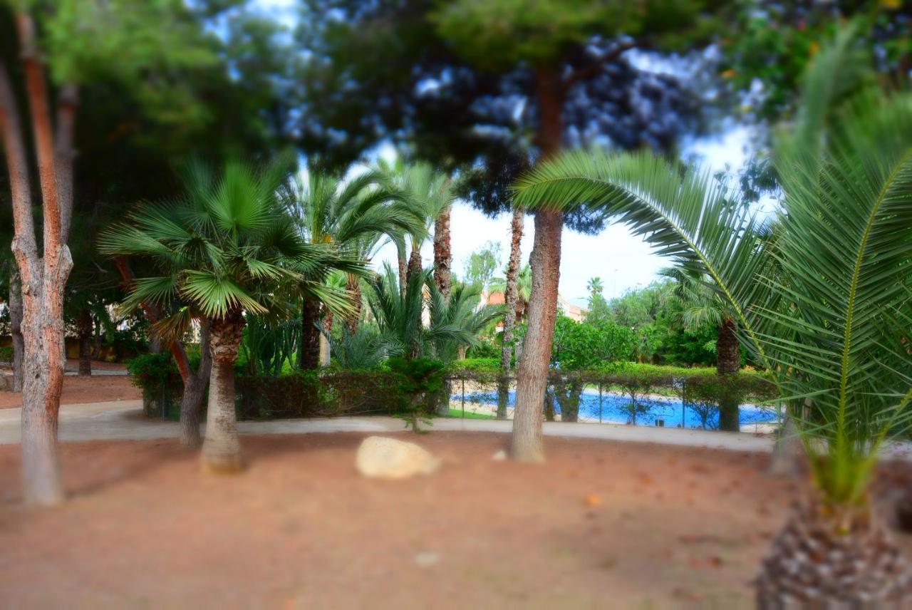 Palmeras, Piscina, Campo De Futbol Y Jardin Privados 马萨龙 外观 照片