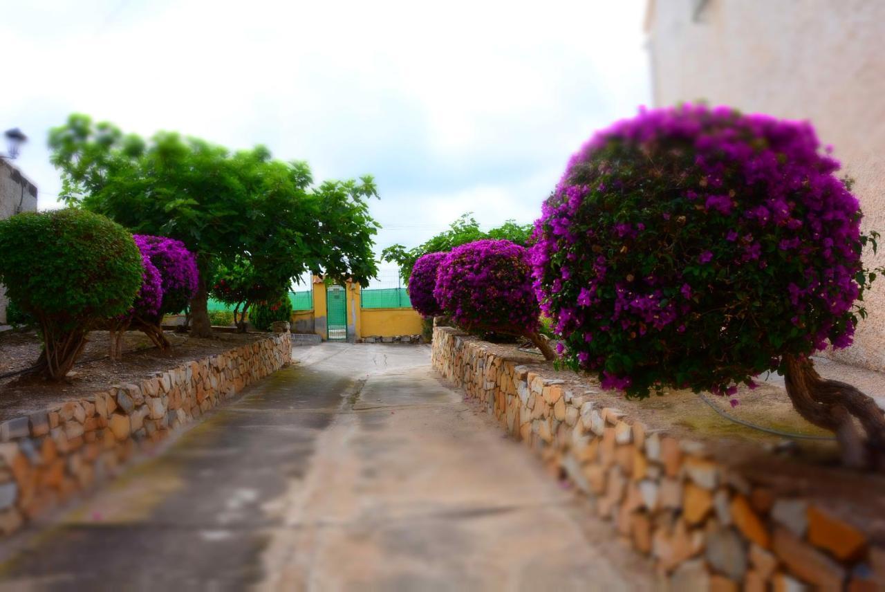 Palmeras, Piscina, Campo De Futbol Y Jardin Privados 马萨龙 外观 照片