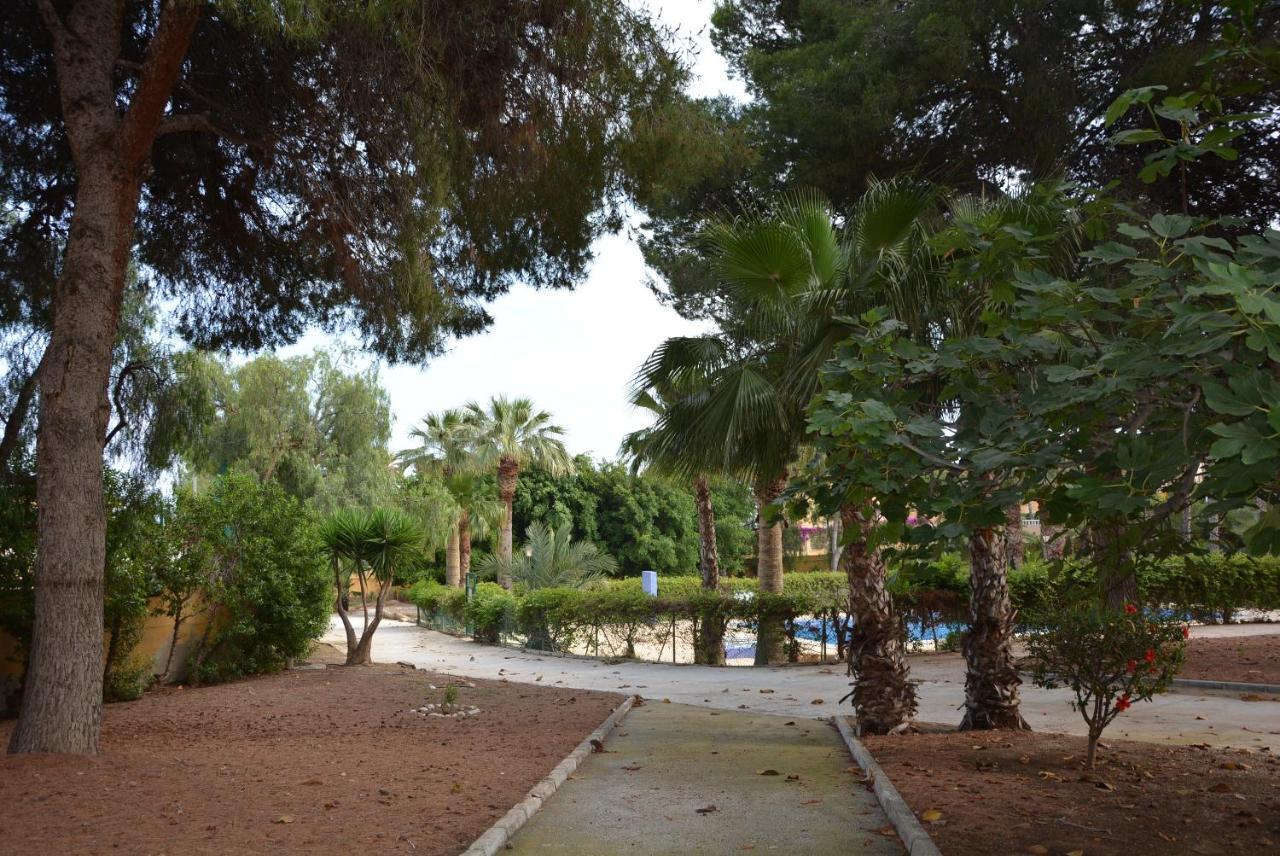 Palmeras, Piscina, Campo De Futbol Y Jardin Privados 马萨龙 外观 照片
