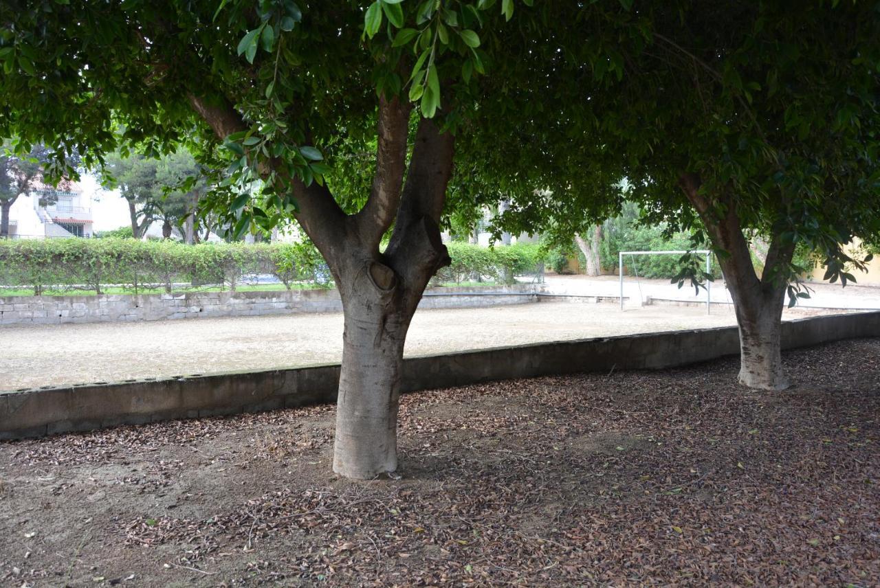 Palmeras, Piscina, Campo De Futbol Y Jardin Privados 马萨龙 外观 照片