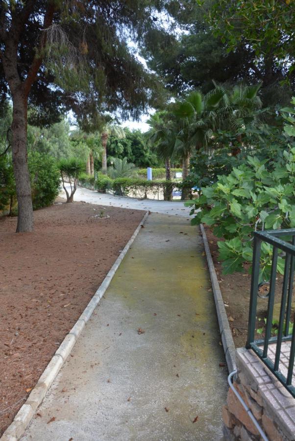 Palmeras, Piscina, Campo De Futbol Y Jardin Privados 马萨龙 外观 照片