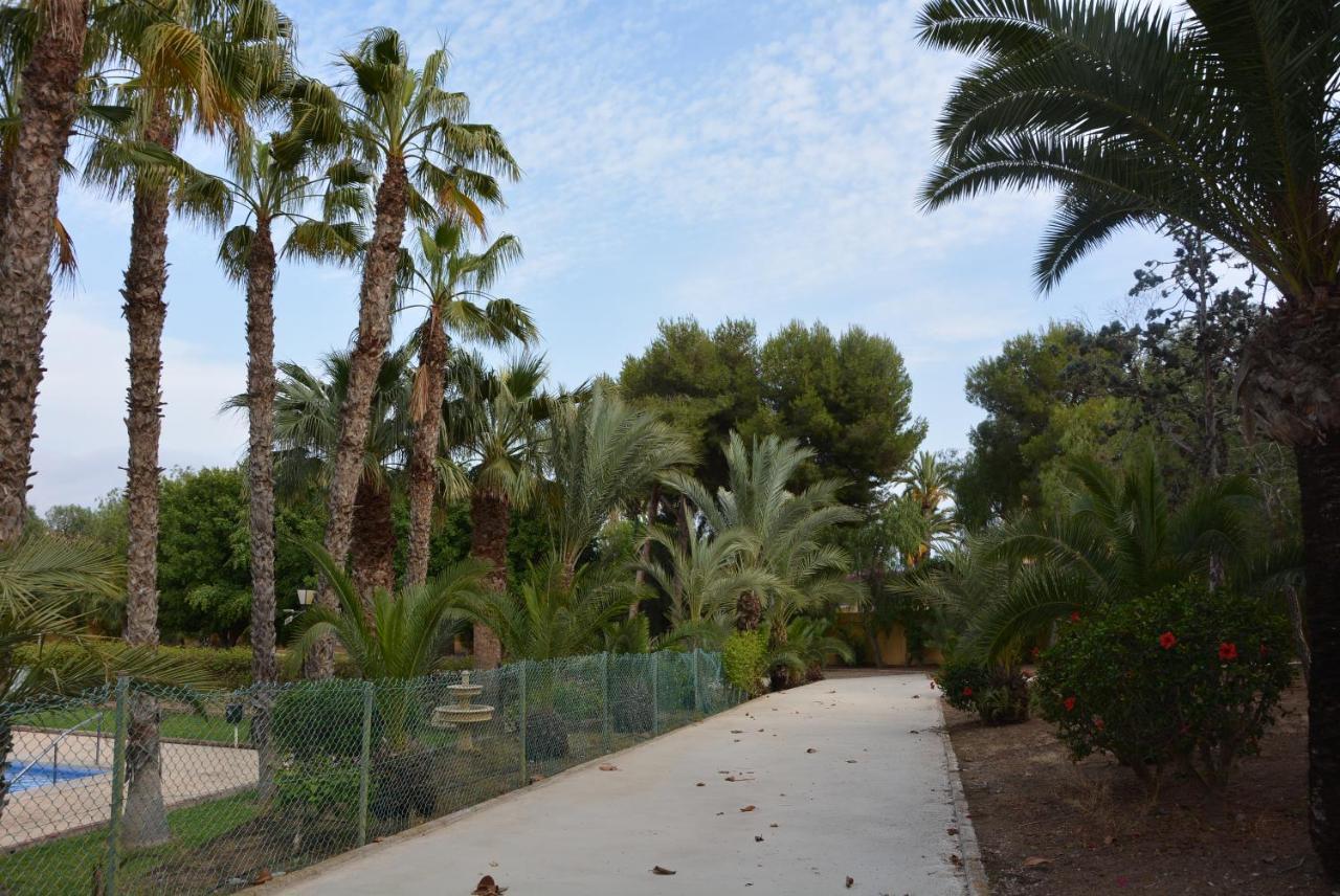 Palmeras, Piscina, Campo De Futbol Y Jardin Privados 马萨龙 外观 照片