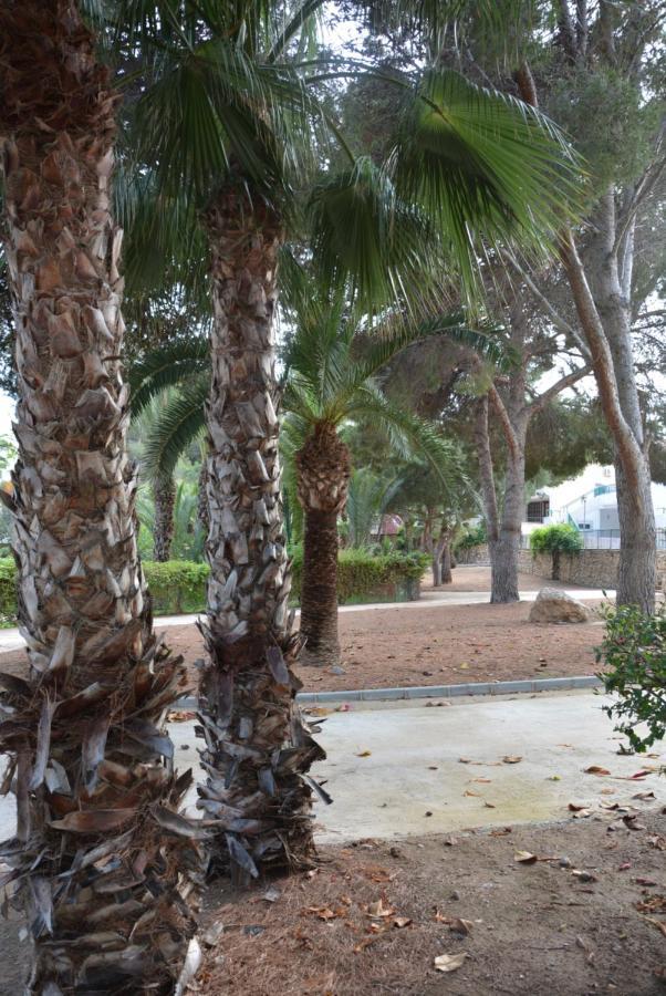 Palmeras, Piscina, Campo De Futbol Y Jardin Privados 马萨龙 外观 照片
