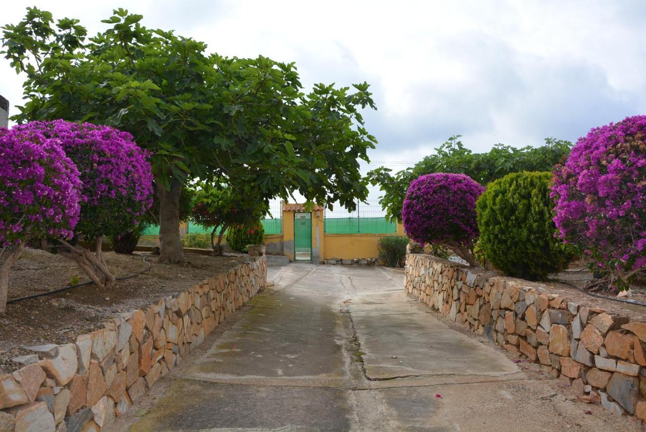 Palmeras, Piscina, Campo De Futbol Y Jardin Privados 马萨龙 外观 照片